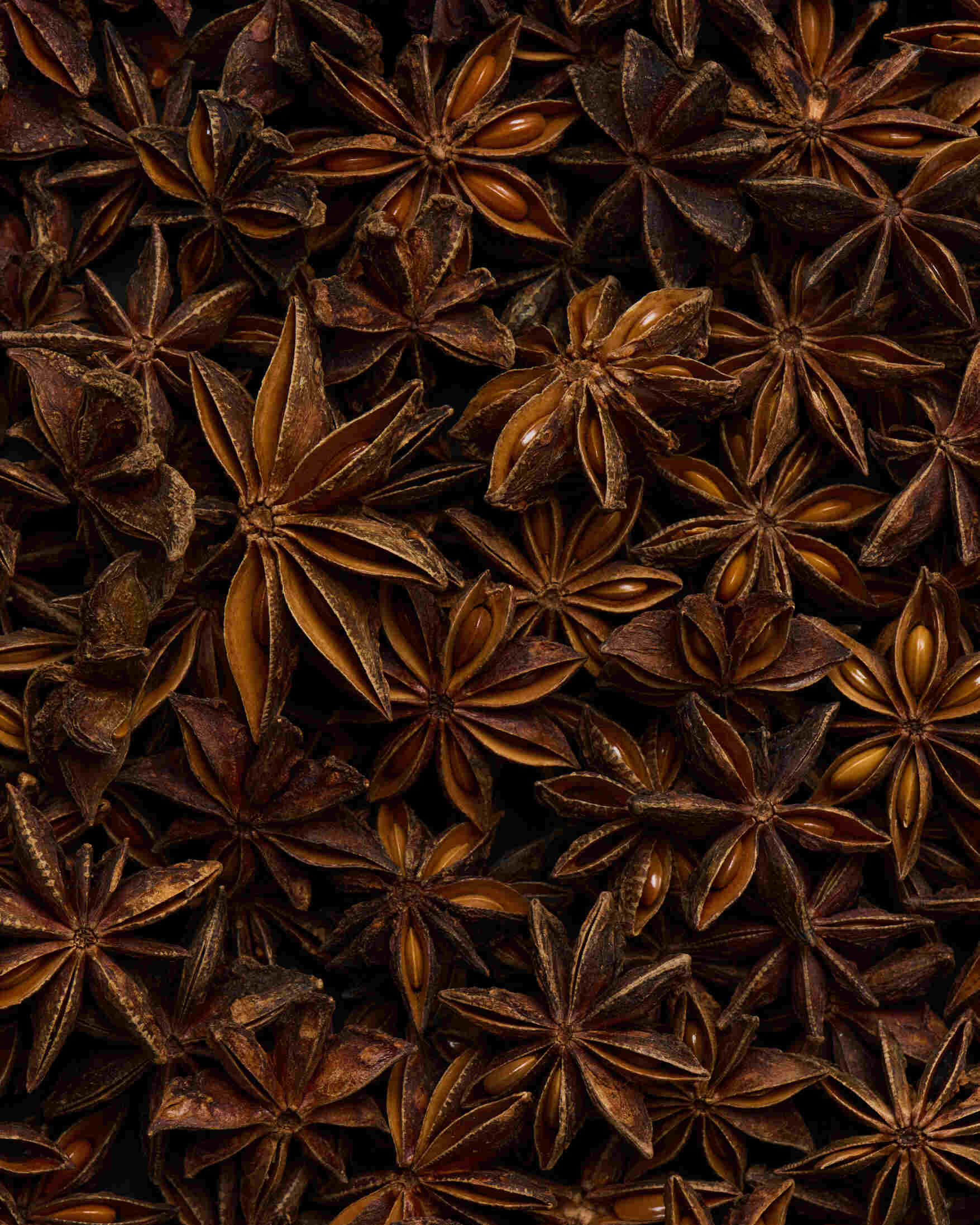 Chocolate Sorbet | Spiced