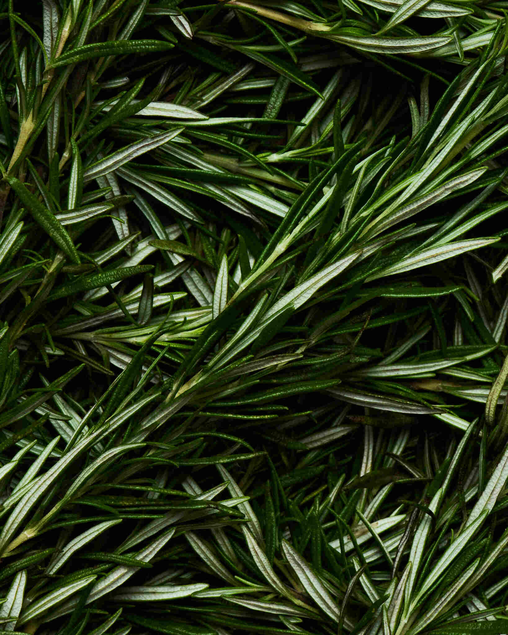 Honey Rosemary | Pecan