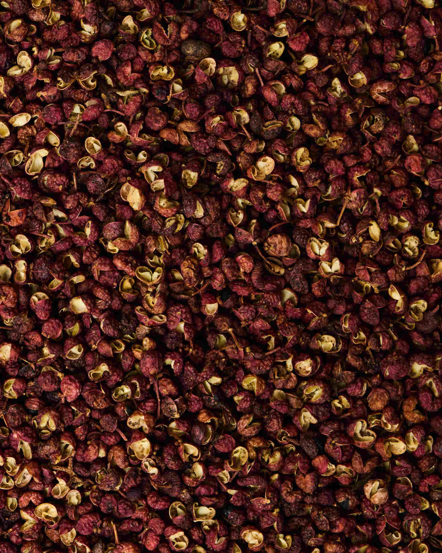 Chocolate Sorbet | Spiced