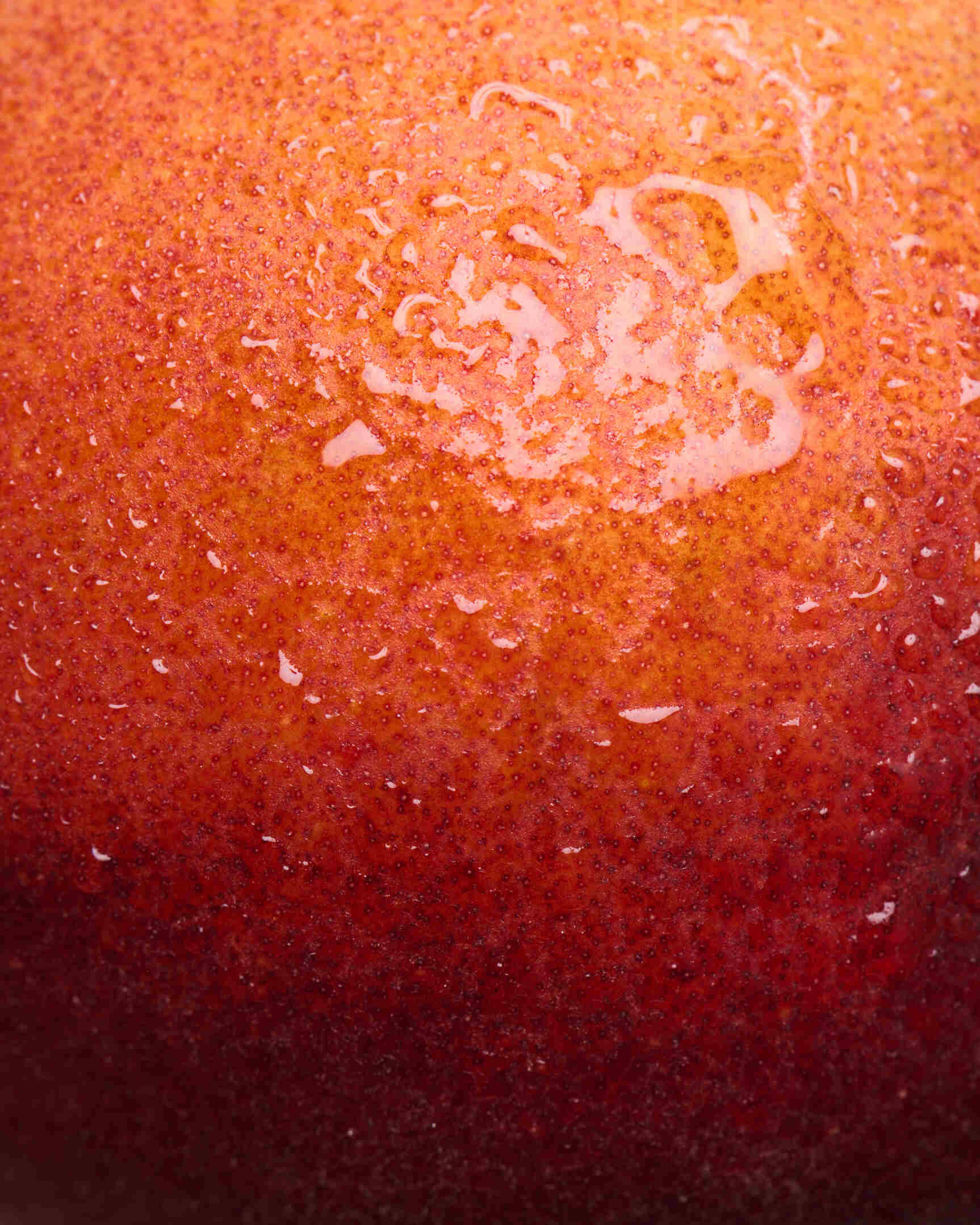 Peach | Verbena