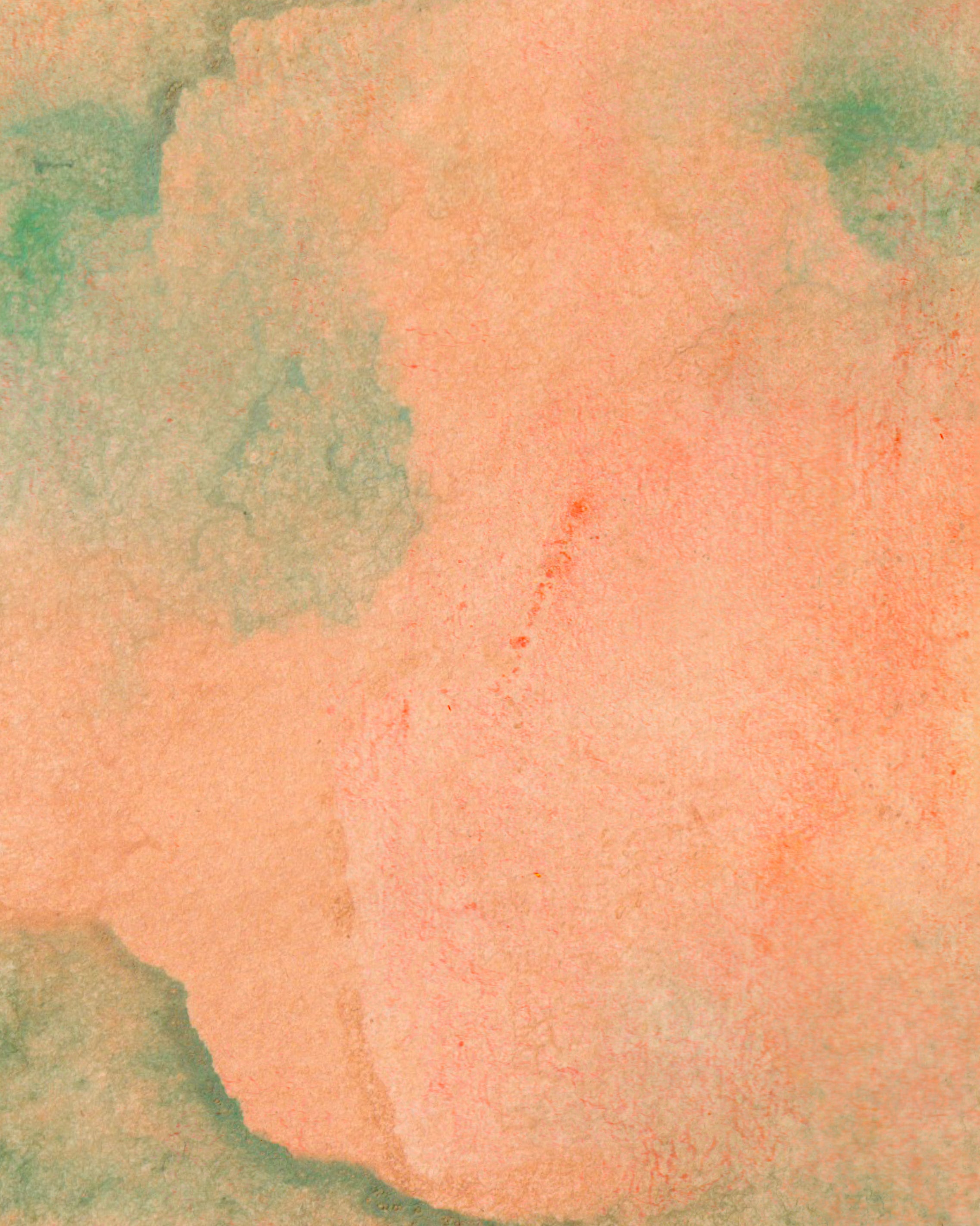 Peach | Verbena